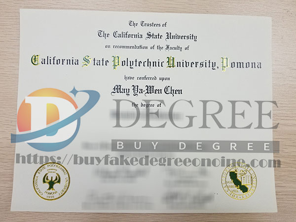 How much does it cost to buy a CPP fake degree