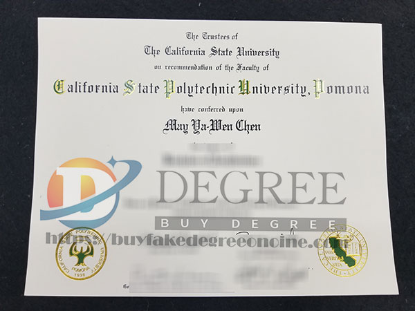 How much does it cost to buy a CPP fake degree