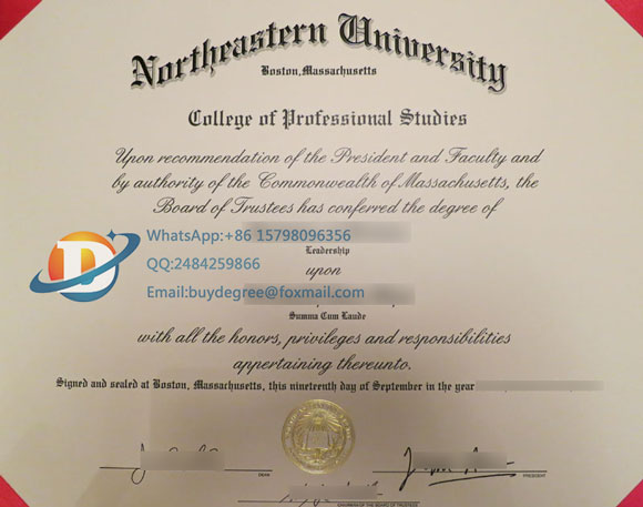fake NEU diploma certificate