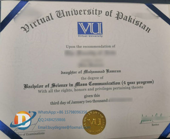 fake VU degree
